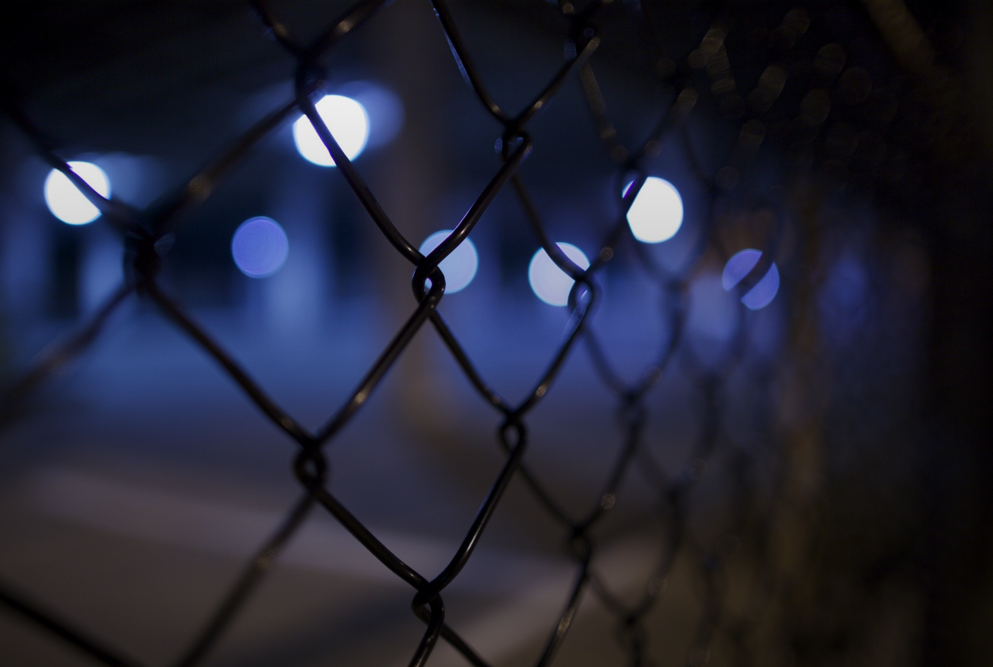 Image-FraudManagement