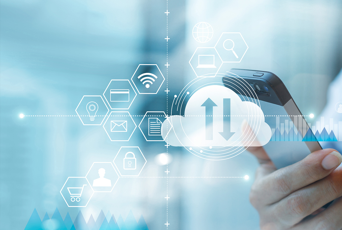 Broadband Capacity Billing Features Broadband Capacity Billing Features